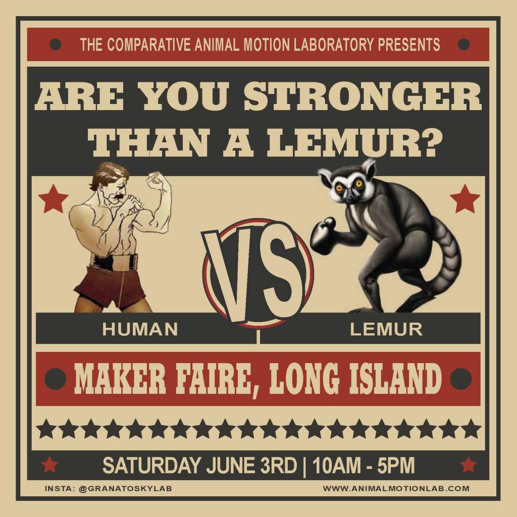 Are you Stronger than a Lemur? - Maker Faire Long Island