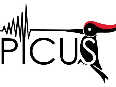 PICUS - Maker Faire