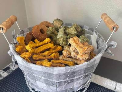 Super dog snack - Maker Faire WNY Regional